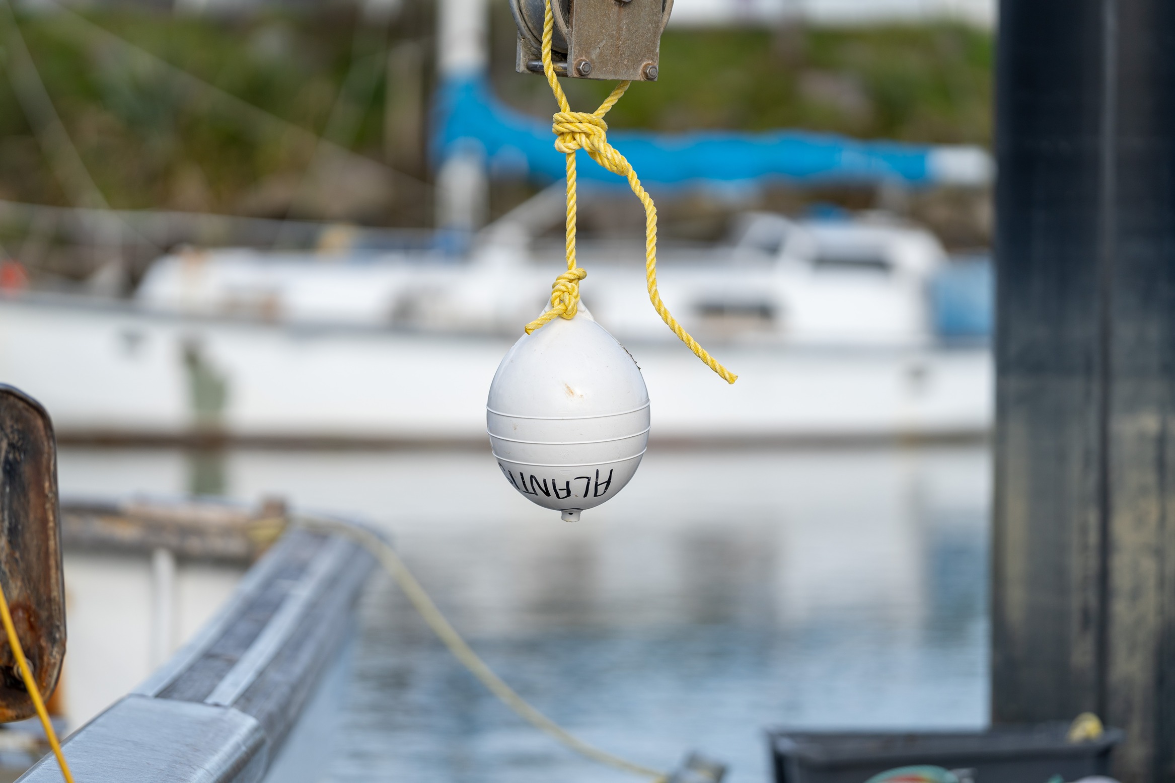 Boy hanging at the port